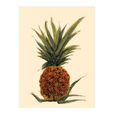 Pineapple (Print Only) thumbnail