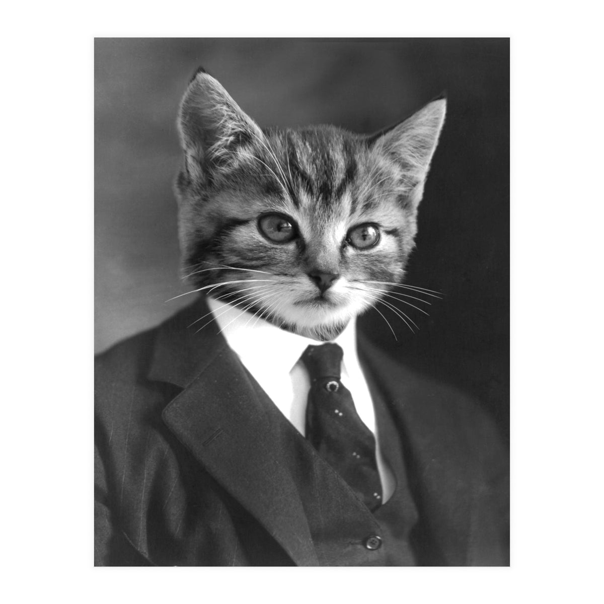 Gentleman Cat (Print Only)