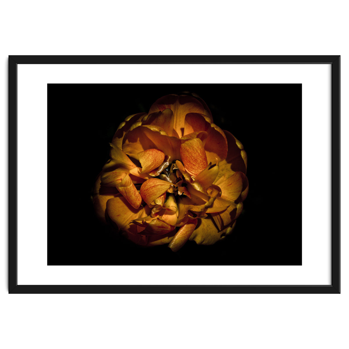 Backyard Flowers No 80 Color Version