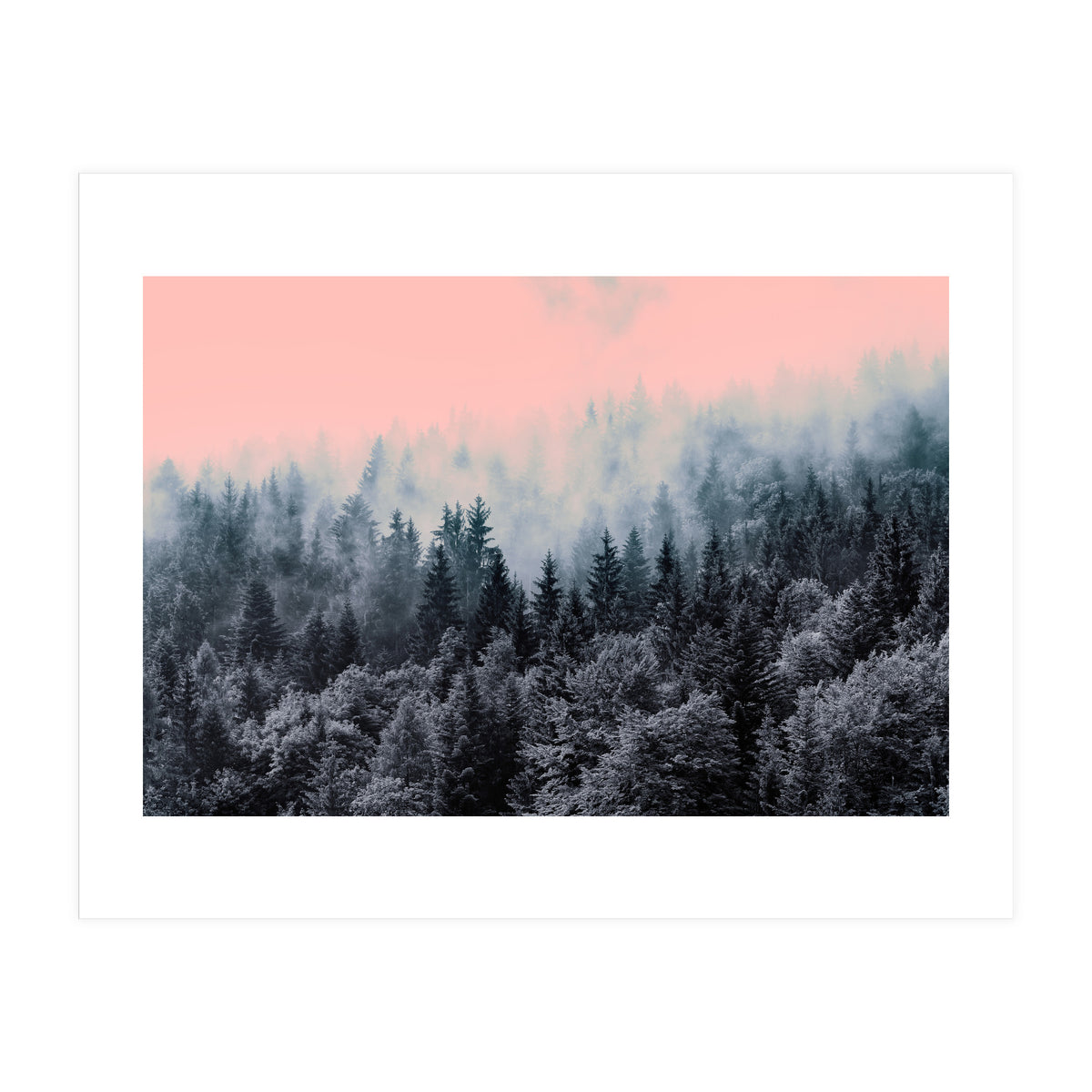 Forest in gray and pink  (Print Only)
