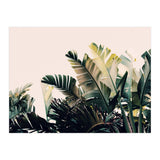 Paradise #4  (Print Only) thumbnail