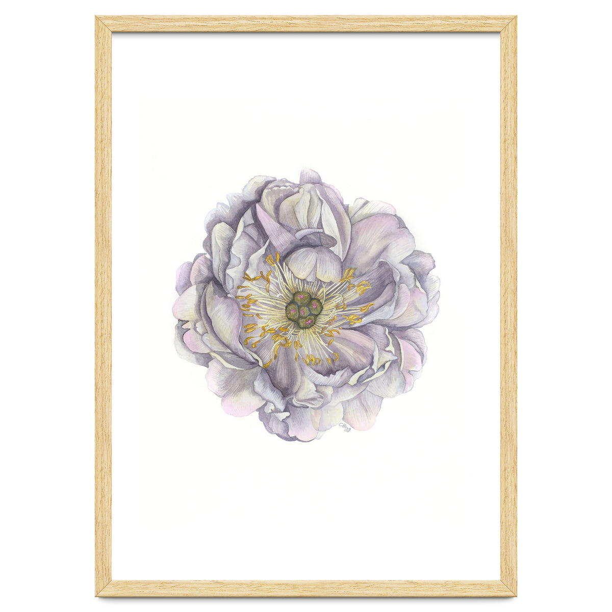 A Peony In Grey Std