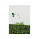 Urban Plant (Print Only) thumbnail