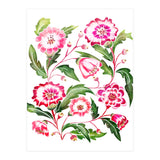 Flori (Print Only) thumbnail