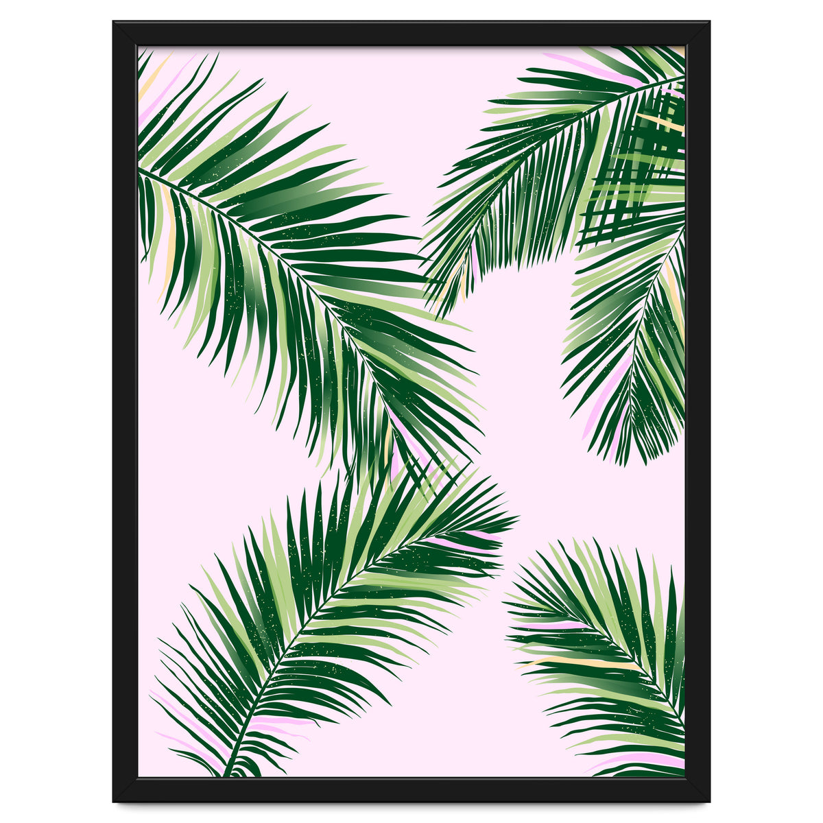 Palmfrond