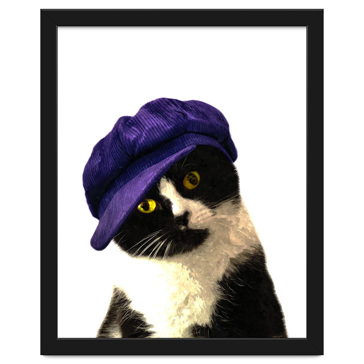 Cat Blue Hat