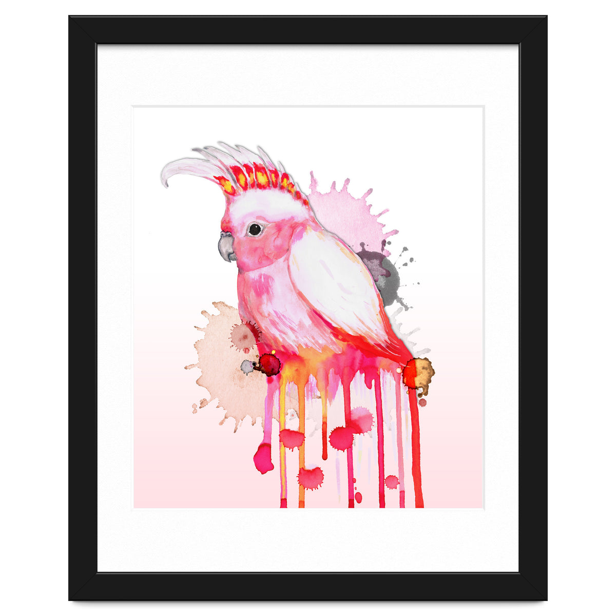 Major Mitchell's cockatoo