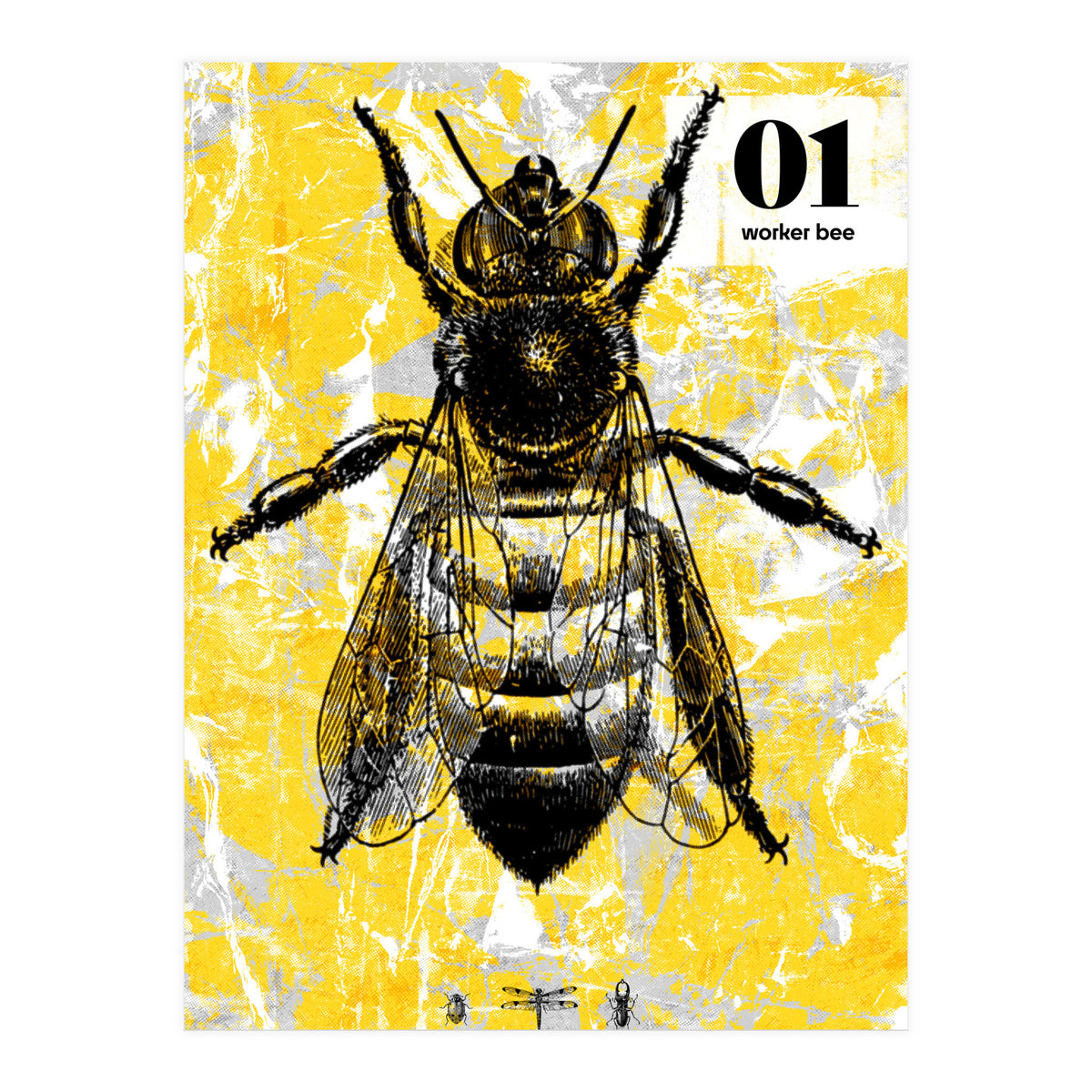 Bugs 1  (Print Only)