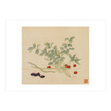 Wang Chengyu~flowers And Vegetables, Vegetables, Fruits, Beans, Red Beans, Cherries, Celery (Print Only) thumbnail