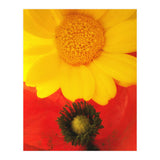 SPRING LOVE (Print Only) thumbnail
