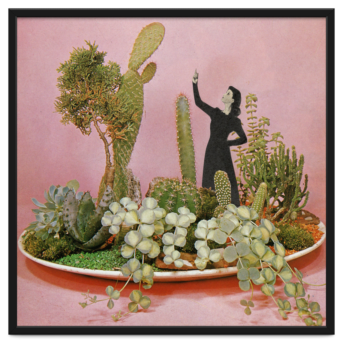 The Wonders Of Cactus Island