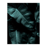 Dark Leafs (Print Only) thumbnail