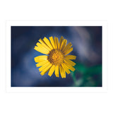 Butter (Print Only) thumbnail