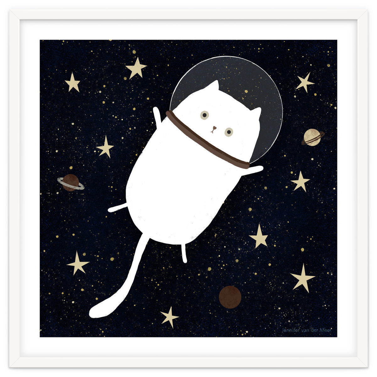 Cat 32: Cats in space!