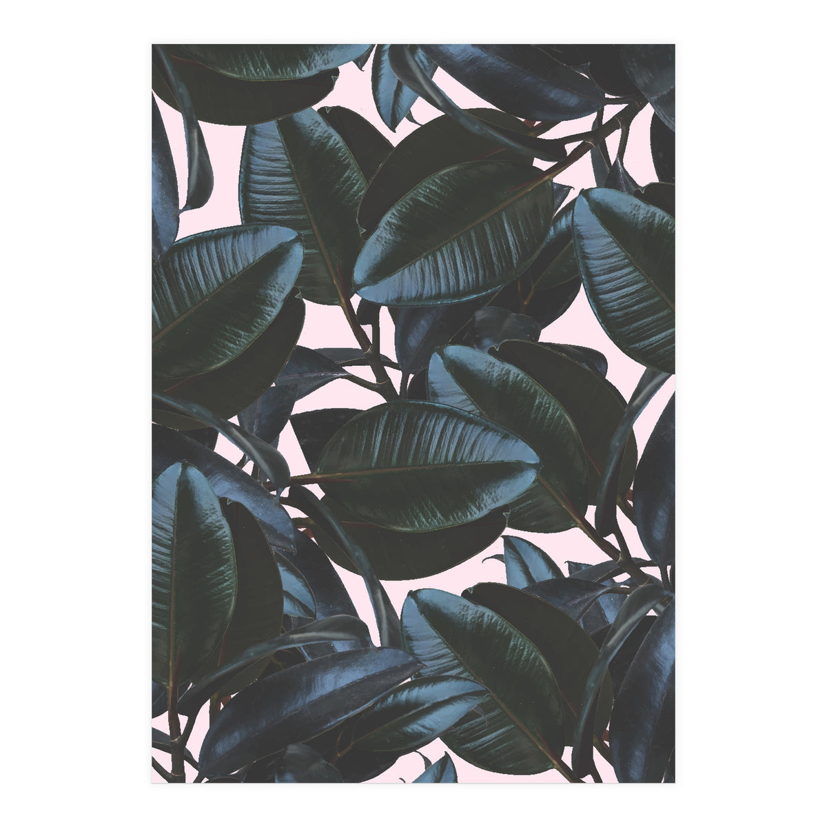 Charming Impression (Print Only)