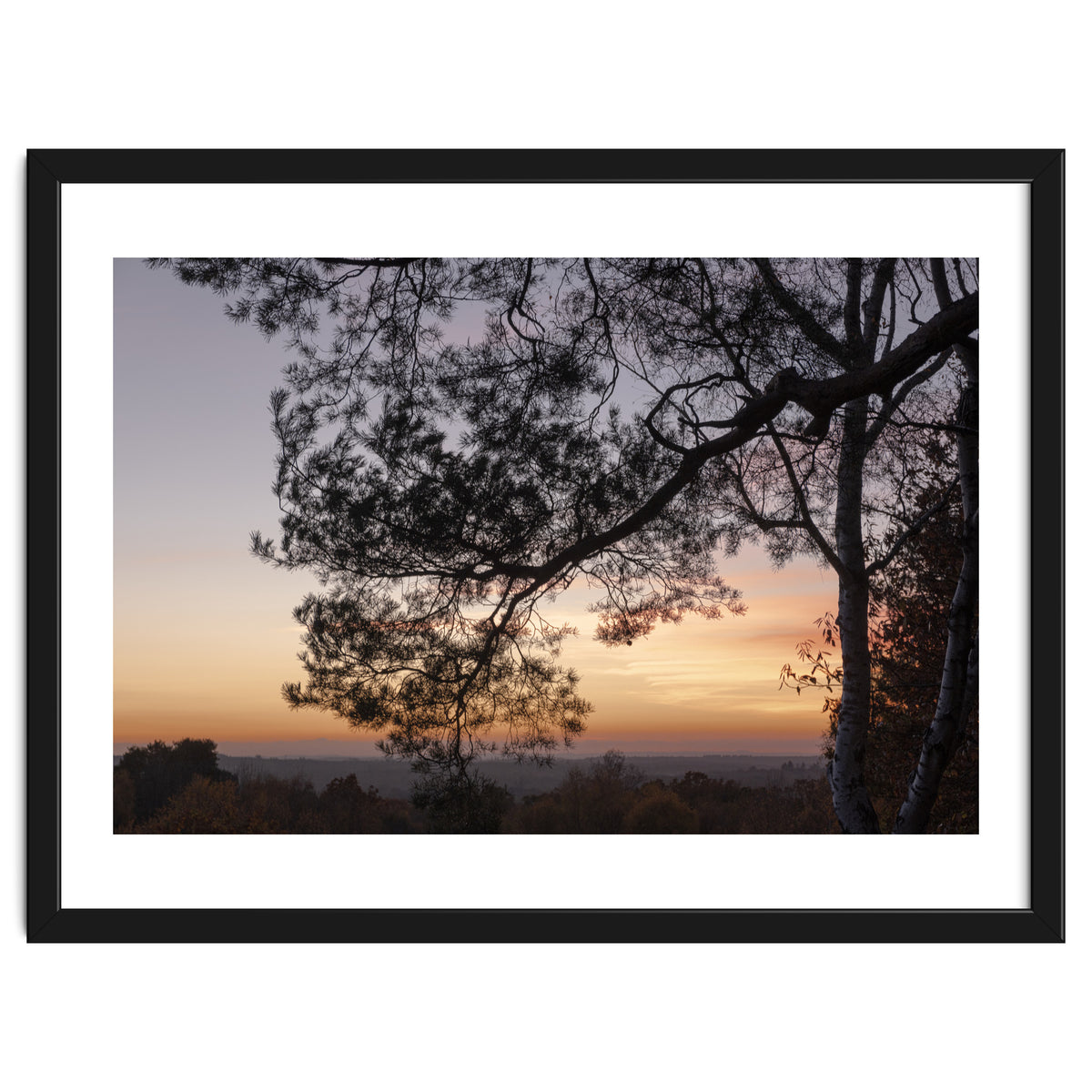 Sunset on Finchampstead Ridges - Berkshire