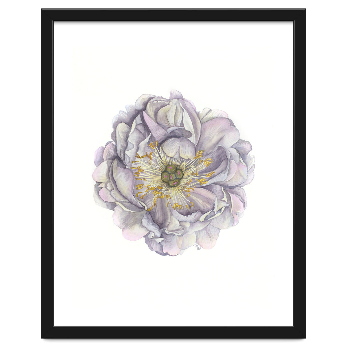 A Peony In Grey Std