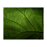 Macro (Print Only) thumbnail