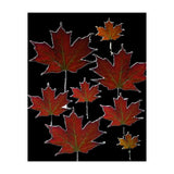 Autumn leaves (2) (Print Only) thumbnail