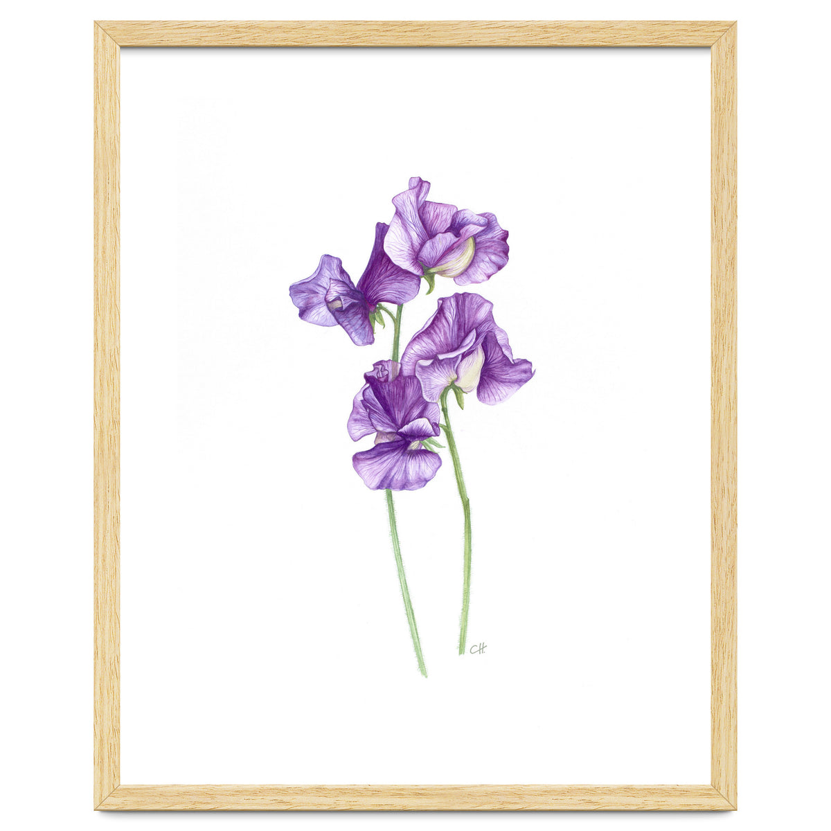 A Purple Posy Of Sweet Peas