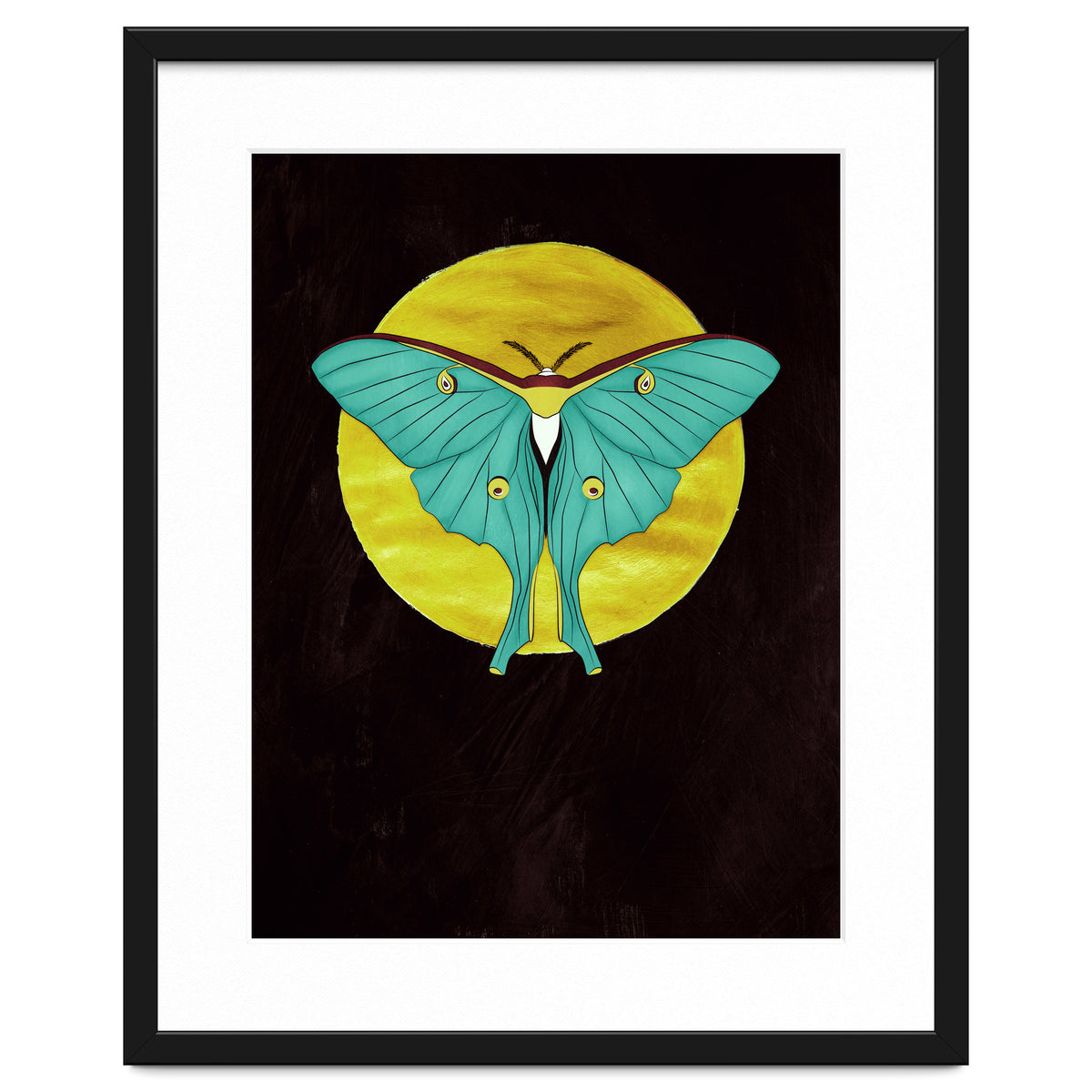 Luna Moth Moon