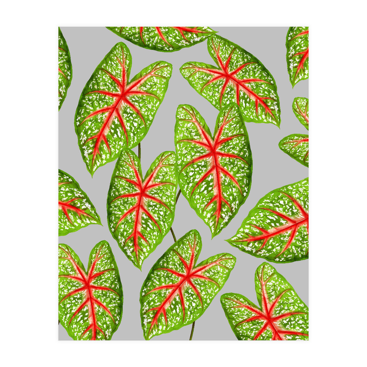 Expression Of Peace (Print Only)