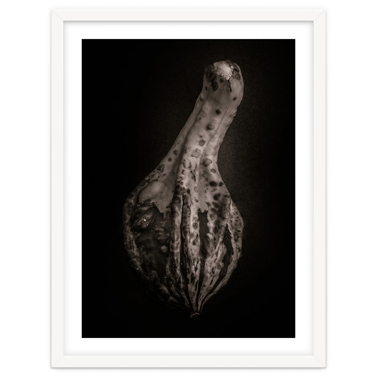 Gourds No 3