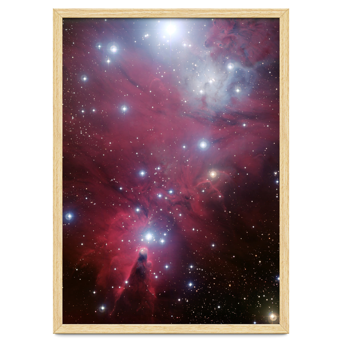 The Christmas Tree Cluster