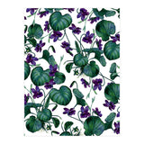 Violets (Print Only) thumbnail