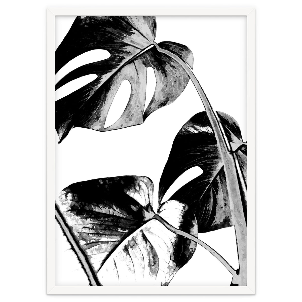 Black Tropical Leaves