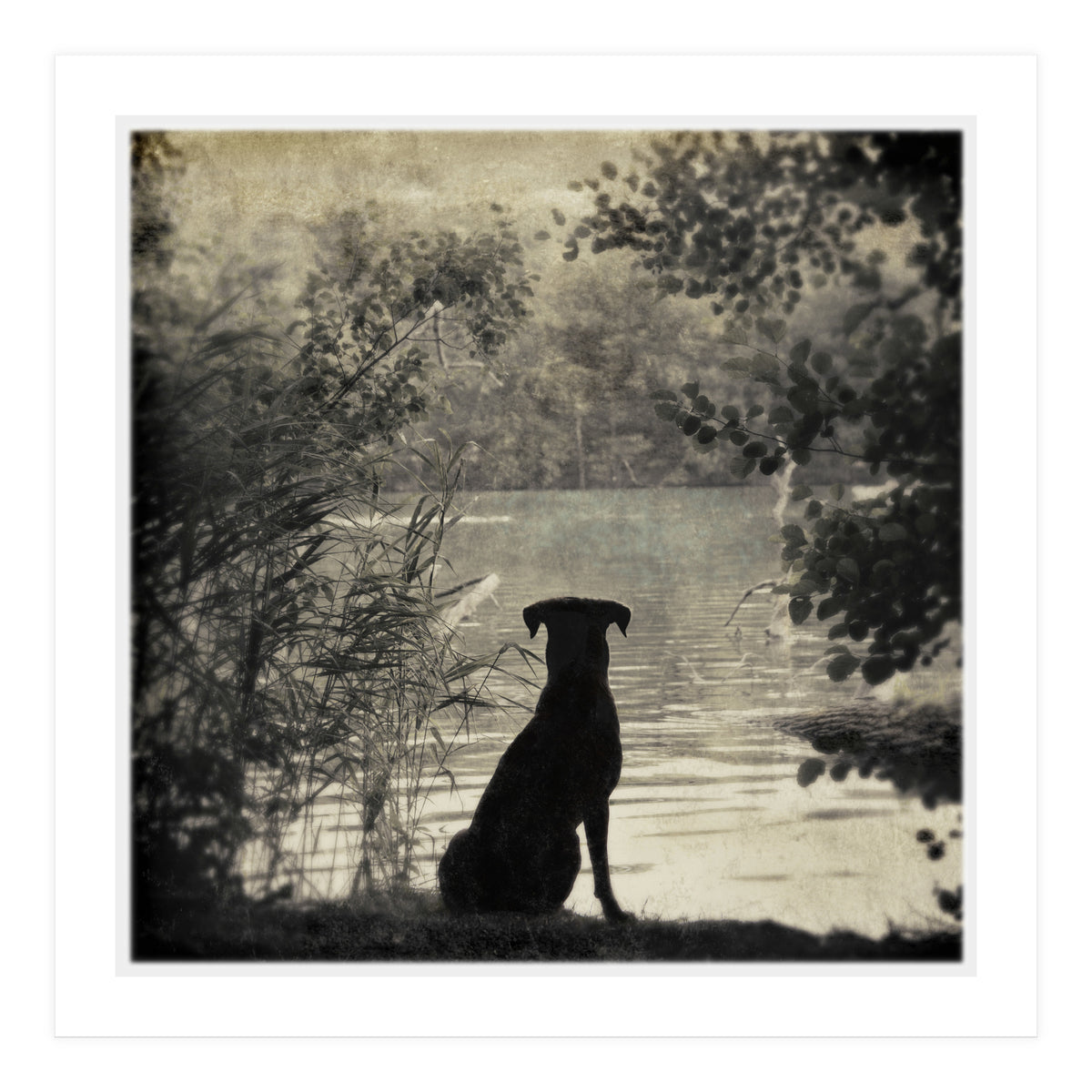 Waiting for you (Print Only)