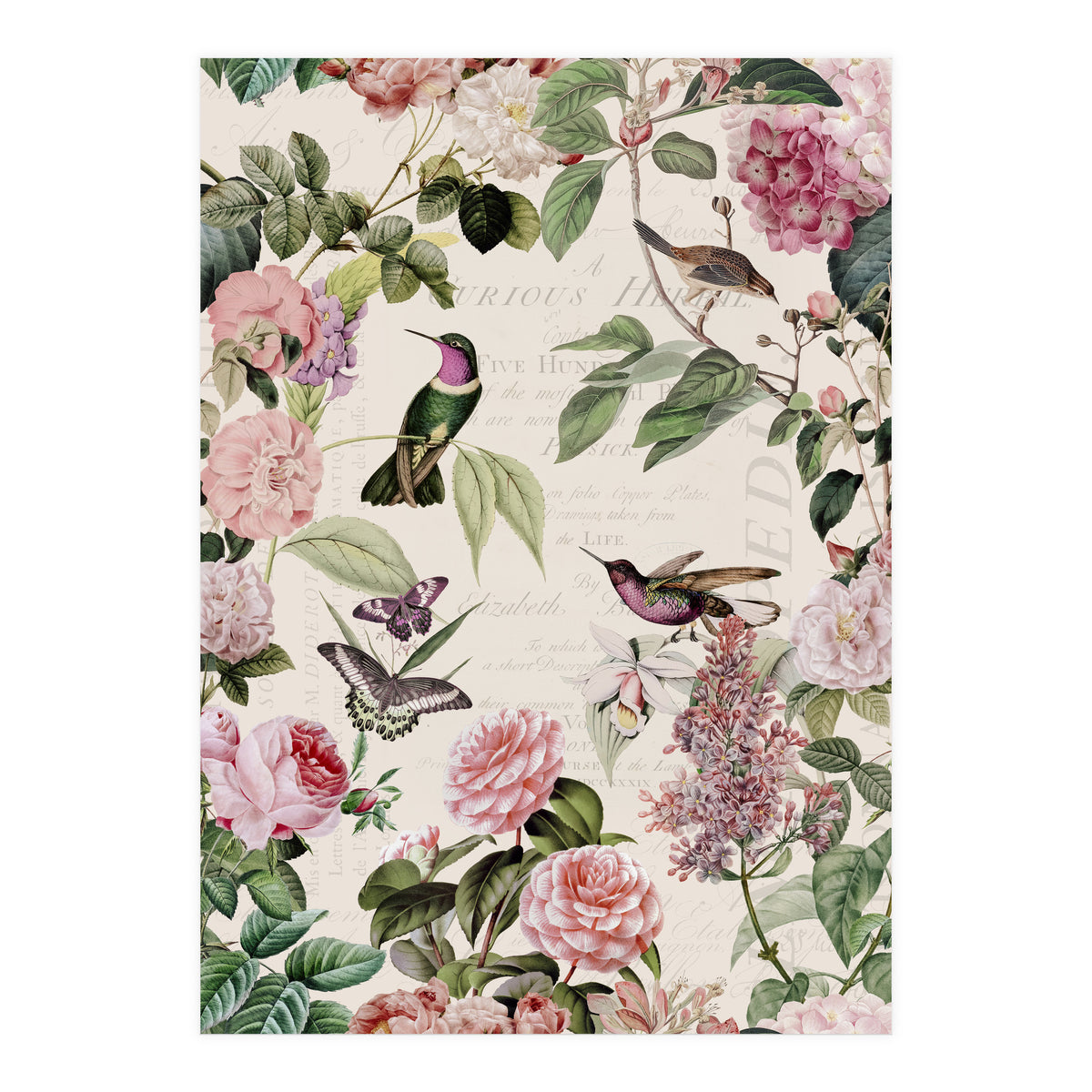 Hummingbirds And Roses (Print Only)