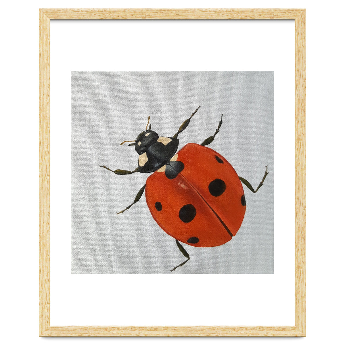 Ladybird