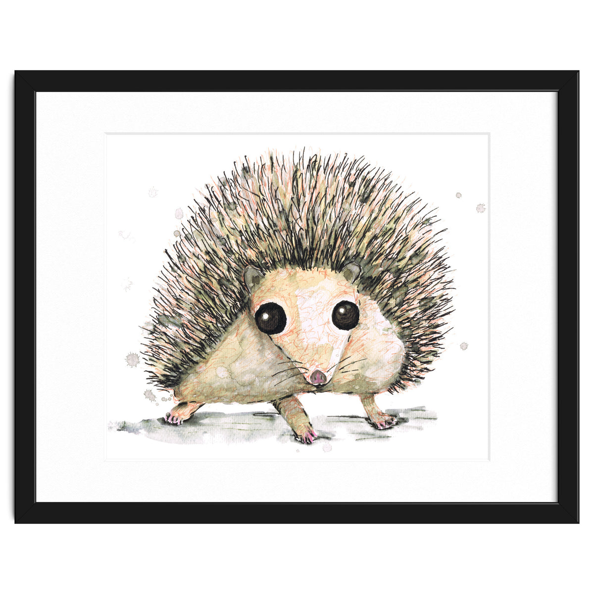 Hedgehog