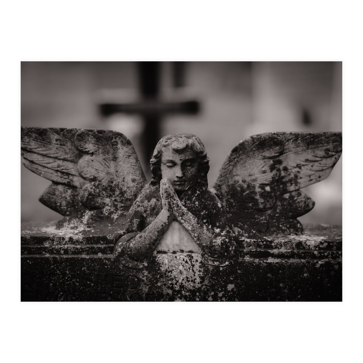 Winged Angel (Print Only)