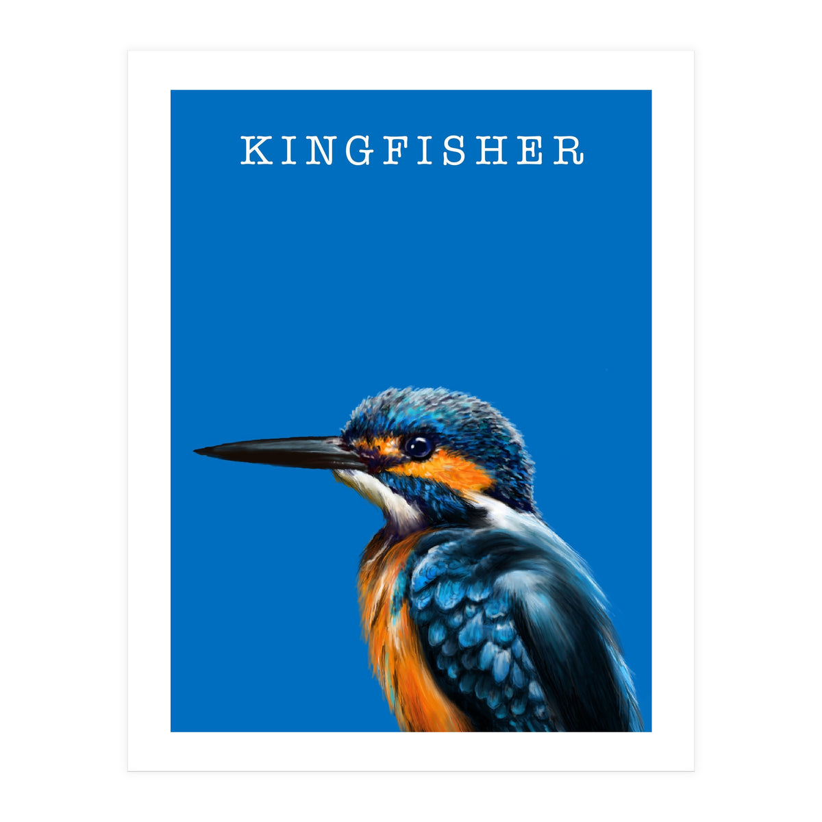 Kingfisher (Print Only)