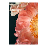 Coral Charm #2  (Print Only) thumbnail