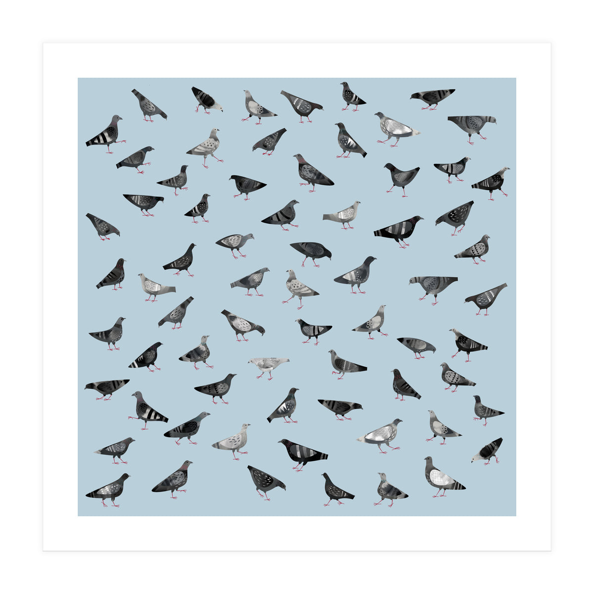 Pigeons Doing Pigeon Things (Print Only)
