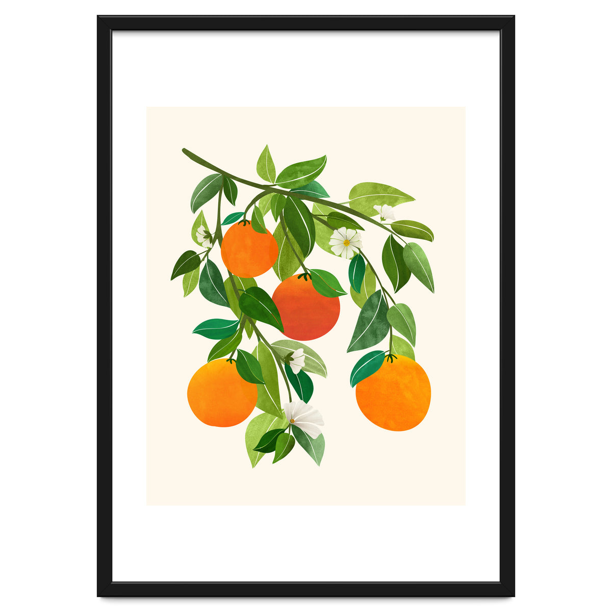 Oranges and Blossoms II