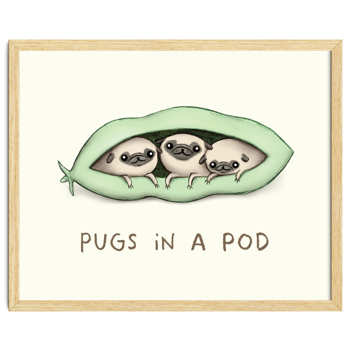 Pugs In A Pod