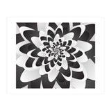 Mono Chrome Flower Spiral   (Print Only) thumbnail