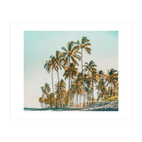 Island Life III (Print Only) thumbnail