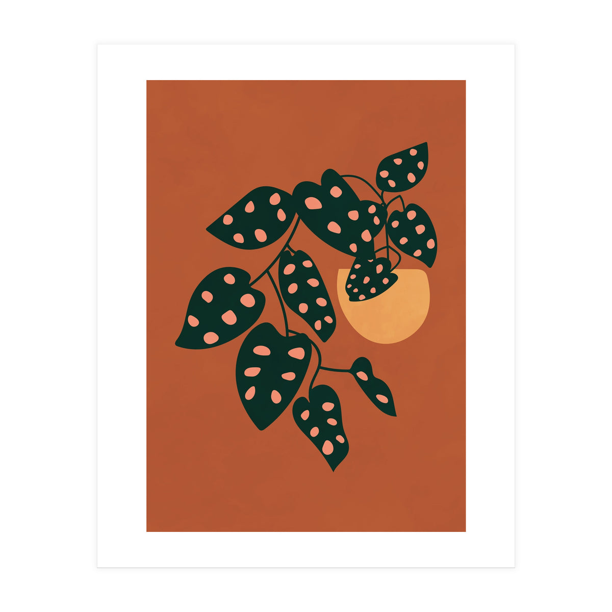 Monstera Adansonii (Print Only)
