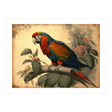 Parrot Vintage Painting (Print Only) thumbnail