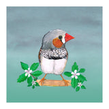 Zebra finch (Print Only) thumbnail