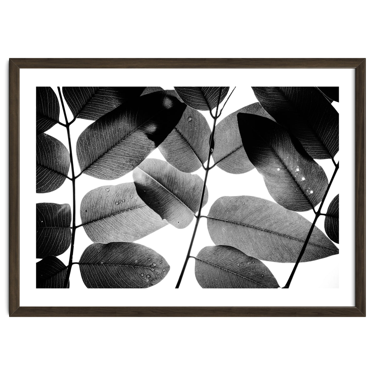 Experiments with Leaves II