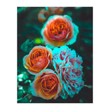 Rose Flowers  (Print Only) thumbnail