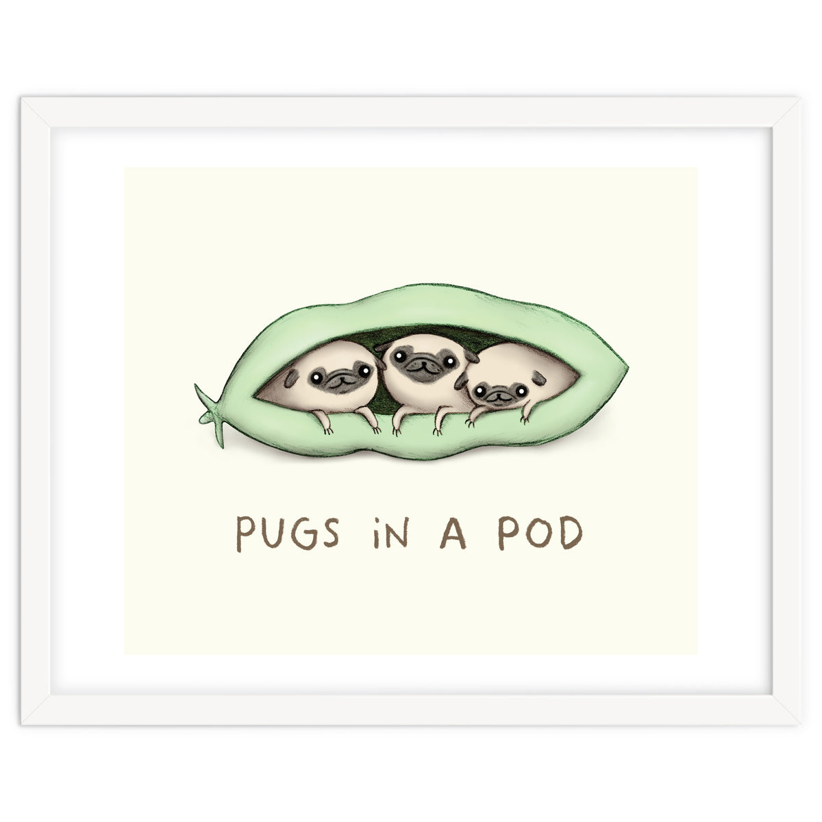 Pugs In A Pod