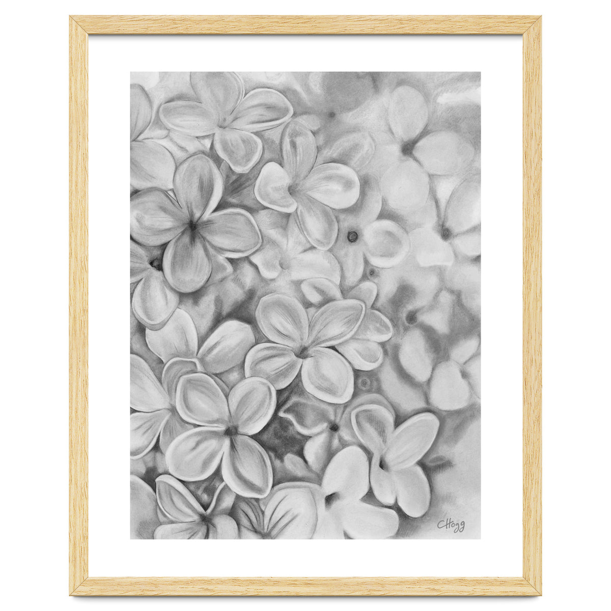 The Essence Of Spring in Monochrome