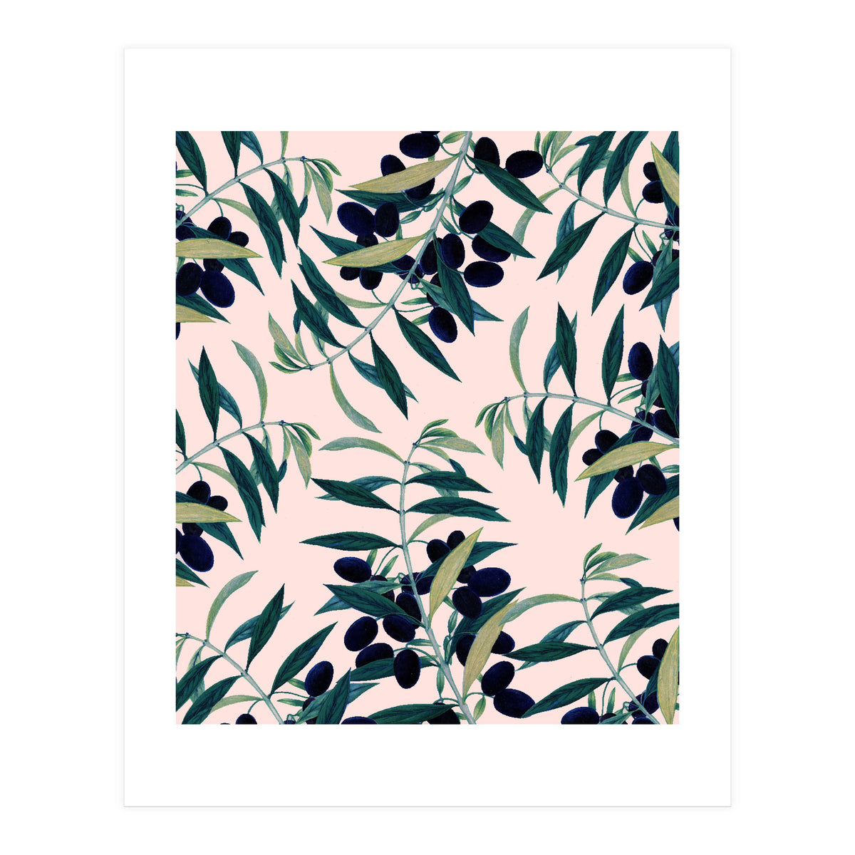Olive Branch Pattern (Print Only)